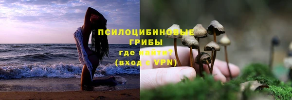 прущая мука Вязьма