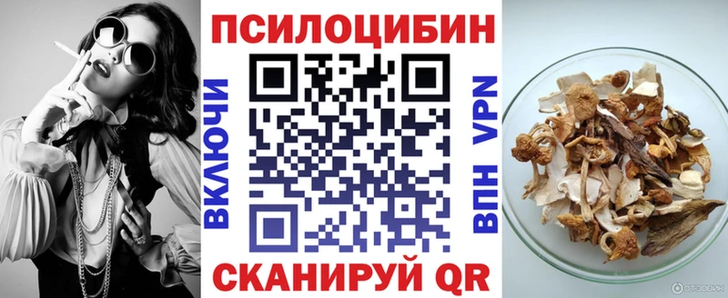 где найти   Каргополь  Галлюциногенные грибы Psilocybe 